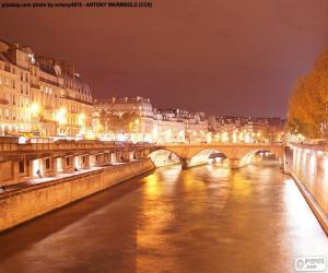Puzzle Ποταμό Σηκουάνα τη νύχτα, Παρίσι